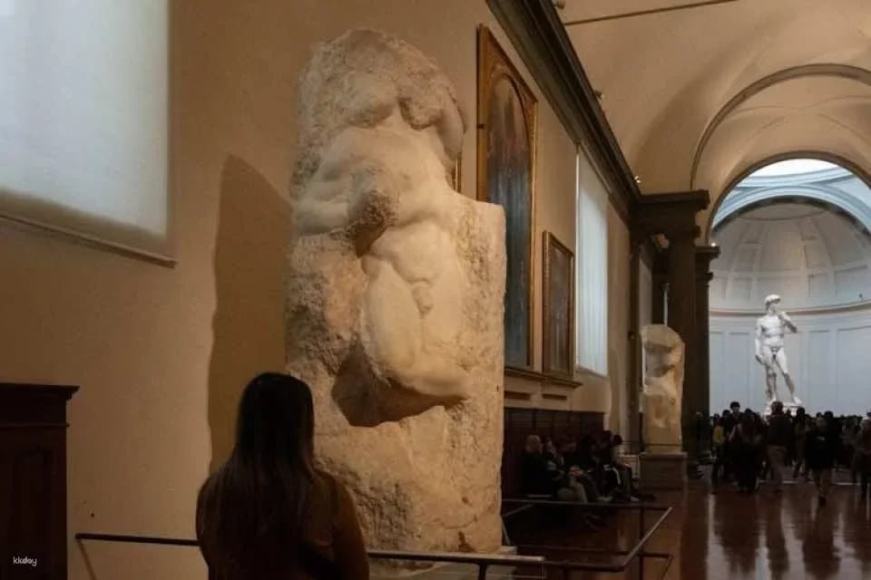 Accademia Gallery entrance ticket with audio app