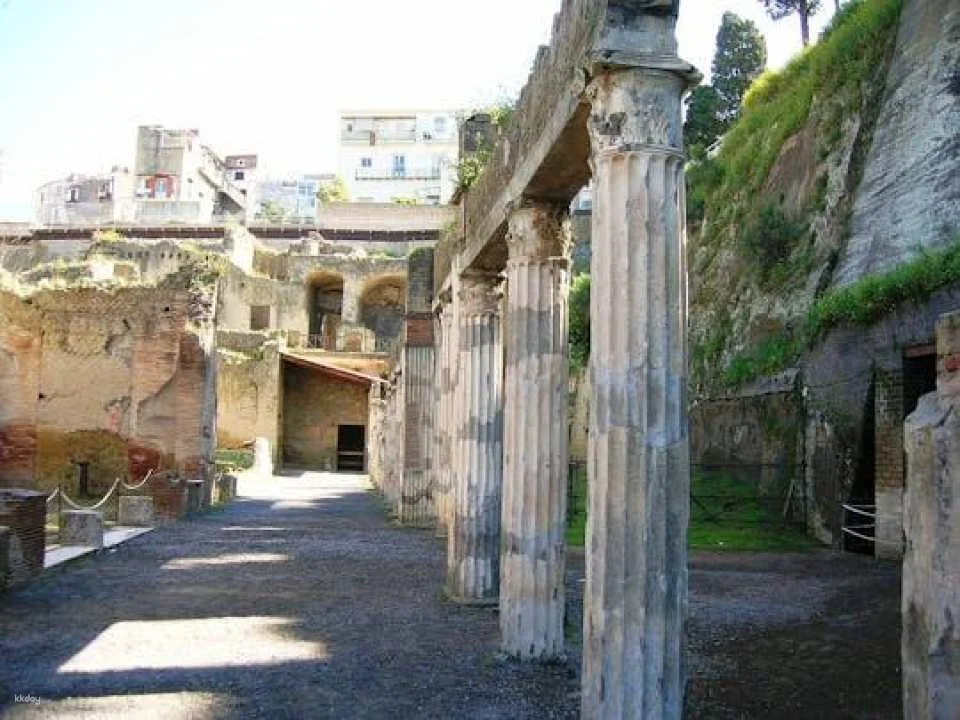 Herculaneum guided tour with an archeologist