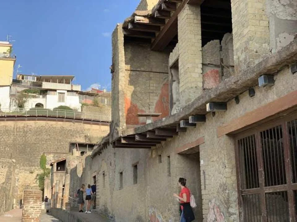 Herculaneum guided tour with an archeologist
