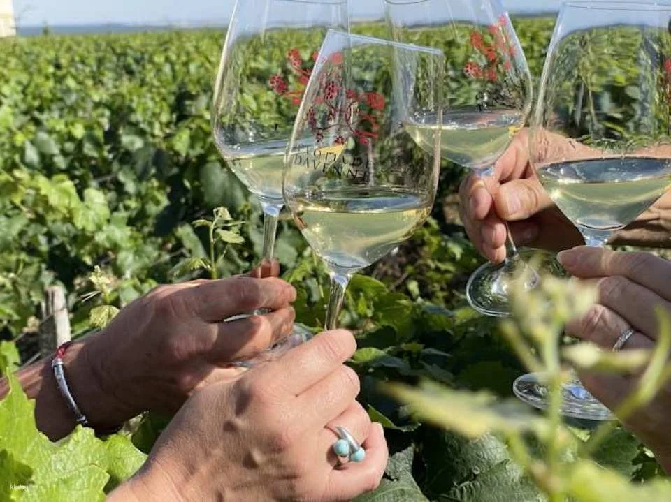 Grands Crus tour in e-Mehari and Chablis wine tasting