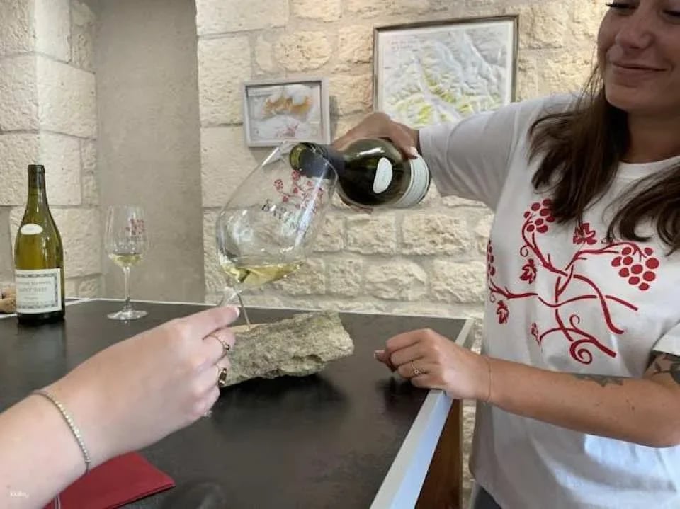 Grands Crus tour in e-Mehari and Chablis wine tasting