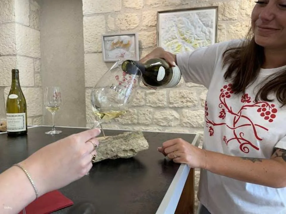 Grands Crus tour in e-Mehari and Chablis wine tasting
