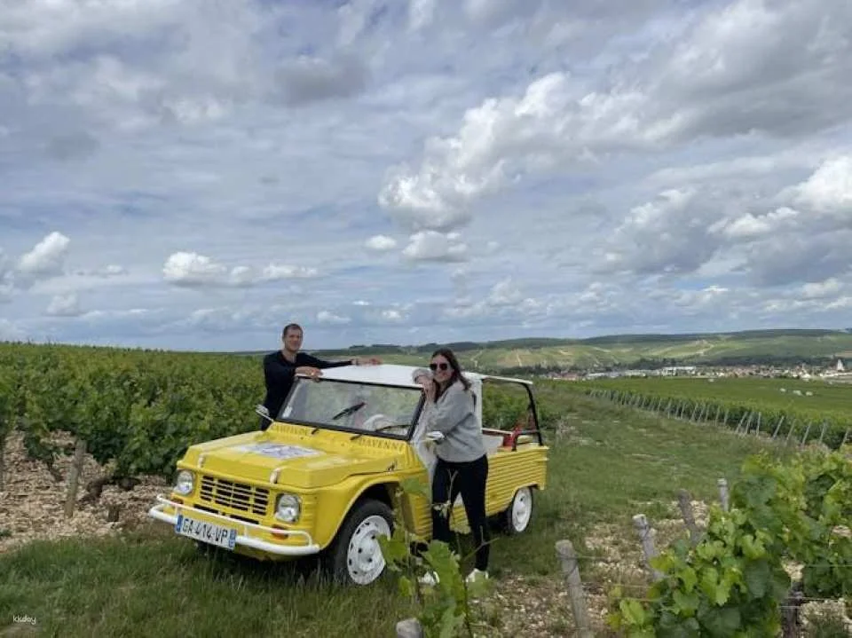 Grands Crus tour in e-Mehari and Chablis wine tasting