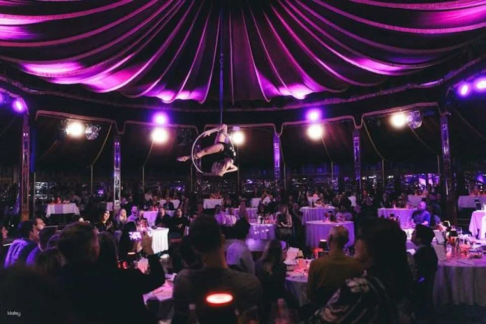 Burlesque dinner show experience