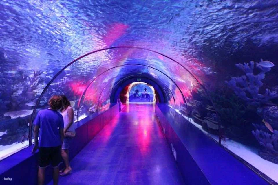 Antalya Aquarium Ticket for Alanya Hotels