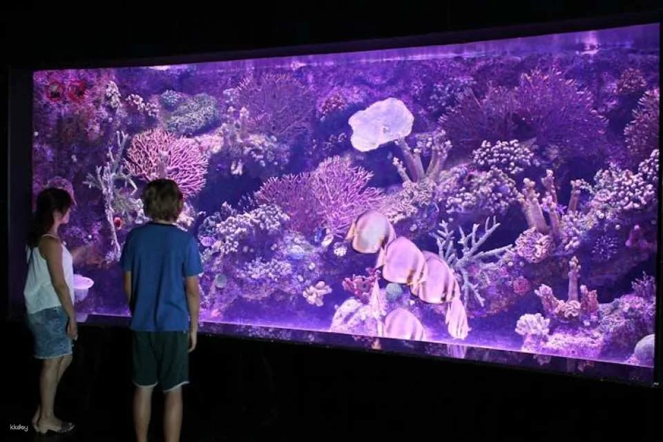 Antalya Aquarium Ticket for Alanya Hotels