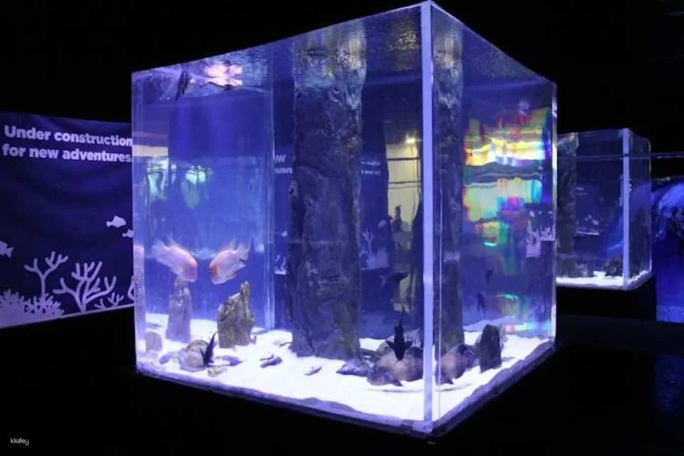 Antalya Aquarium Ticket for Alanya Hotels