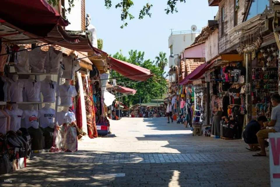 Half-day guided tour of Side with Temple of Apollo visit
