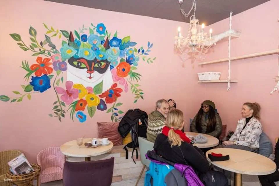 Reykjavik private walking tour for cat lovers