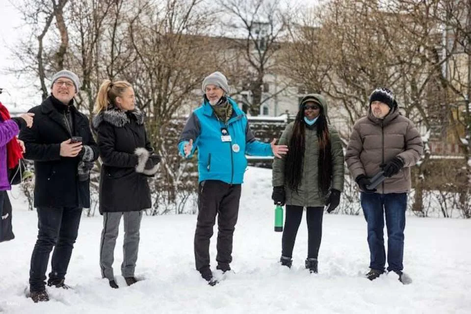 Reykjavik private walking tour for cat lovers