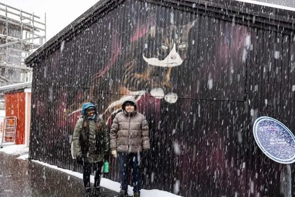 Reykjavik private walking tour for cat lovers