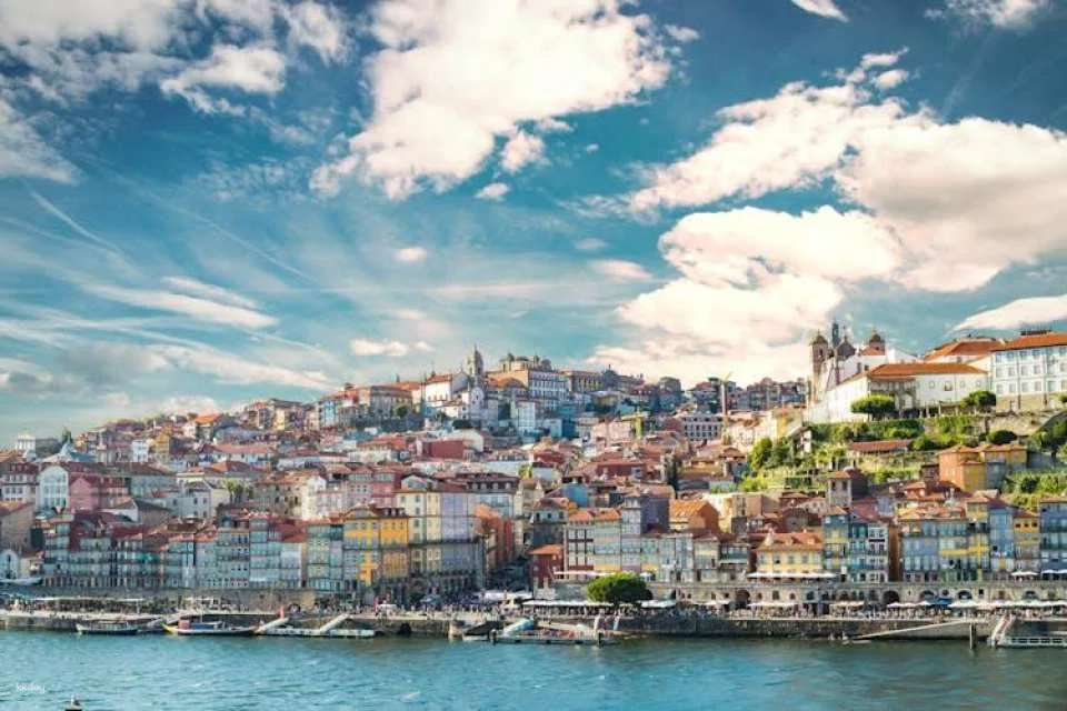 Porto tour by tuk-tuk and port wine cellar guided tour with tastings