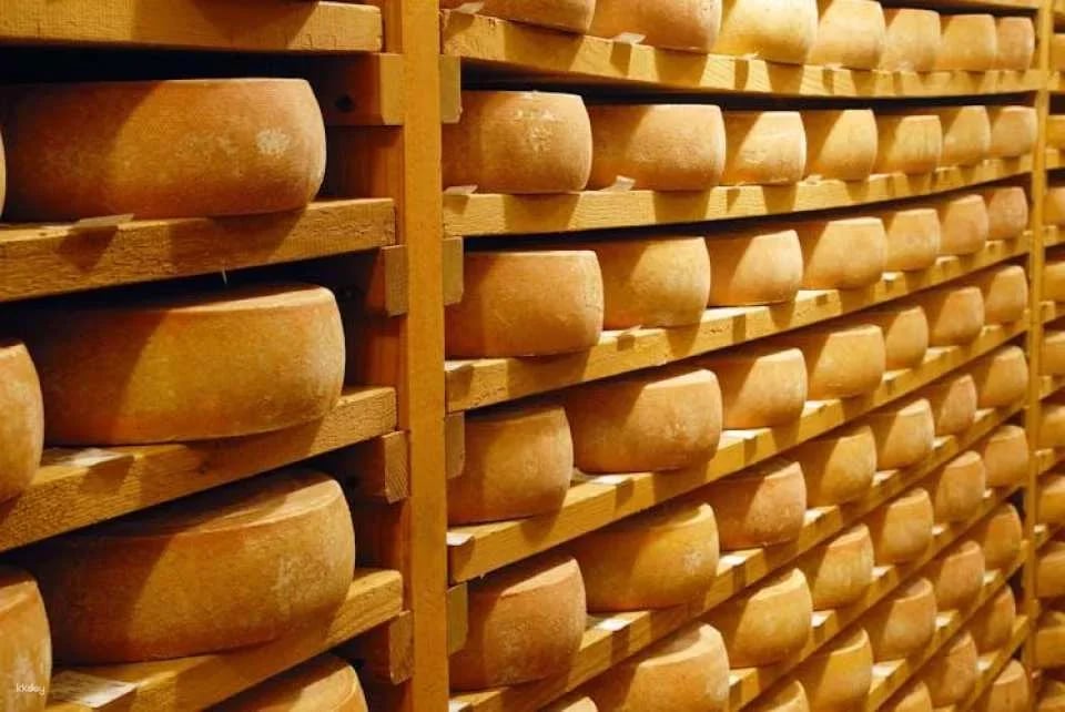 Private day tour to Berne and to an Emmental Cheese farm from Zürich