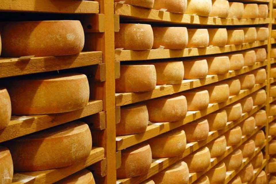 Private day tour to Berne and to an Emmental Cheese farm from Zürich