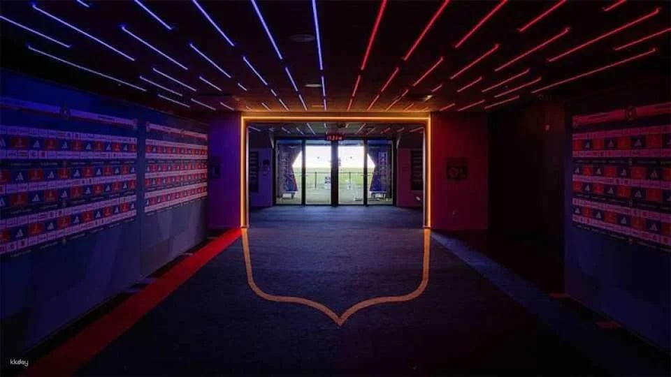 Lyon Groupama Stadium VIP tour and museum visit