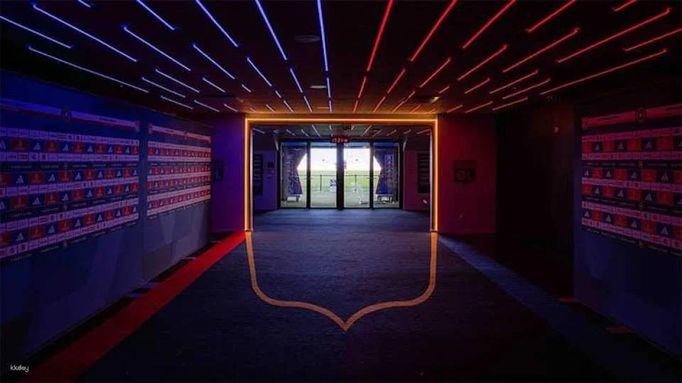 Lyon Groupama Stadium VIP tour and museum visit