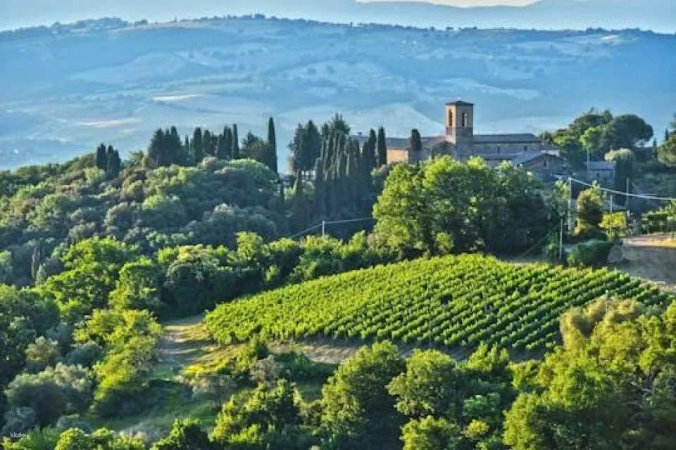 Brunello wine tasting and lunch in a Tuscan castle in Montalcino