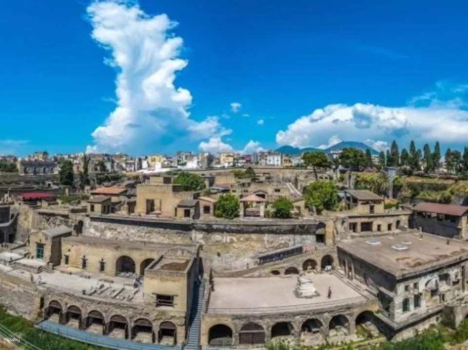 Vesuvius and Herculaneum transfer and entrance tickets from Pompeii