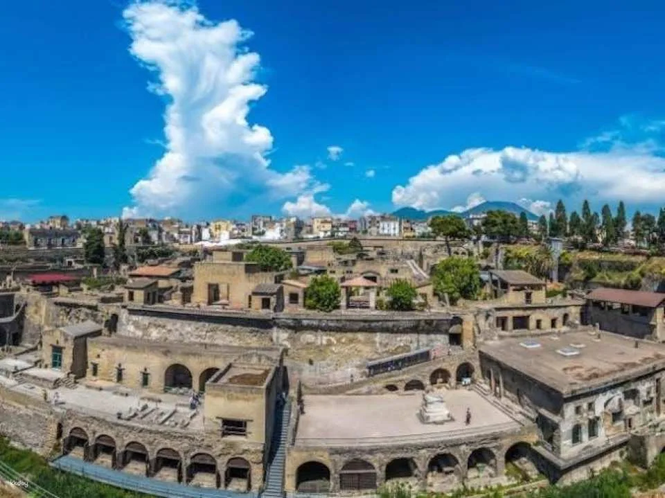 Vesuvius and Herculaneum transfer and entrance tickets from Pompeii