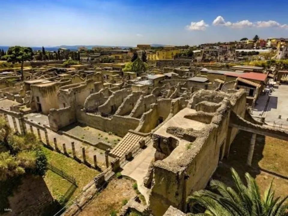 Vesuvius and Herculaneum transfer and entrance tickets from Pompeii