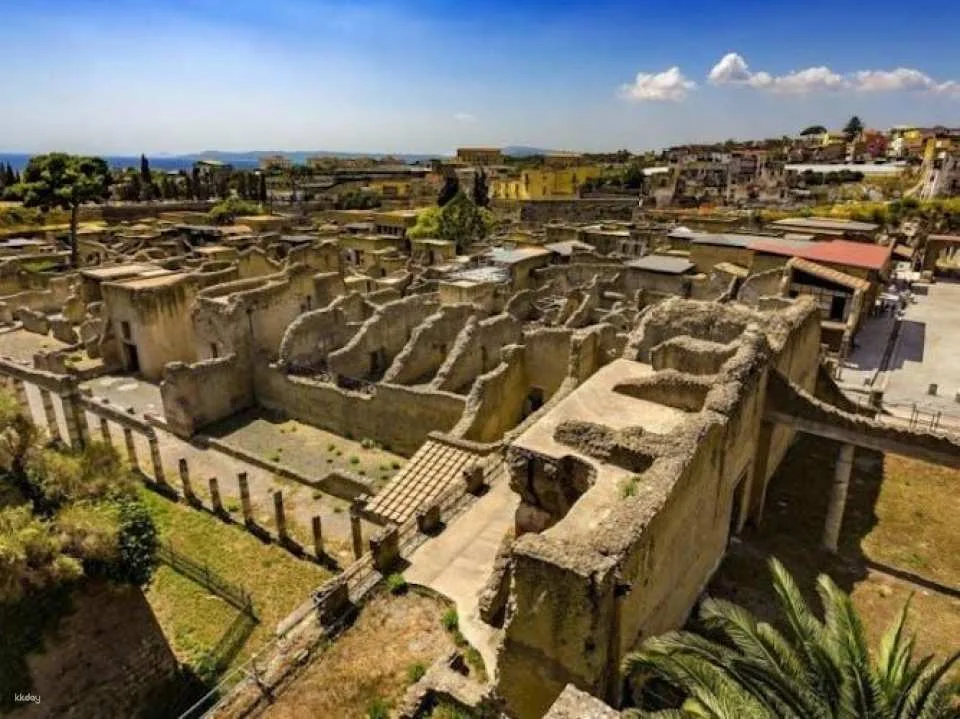 Vesuvius and Herculaneum transfer and entrance tickets from Pompeii