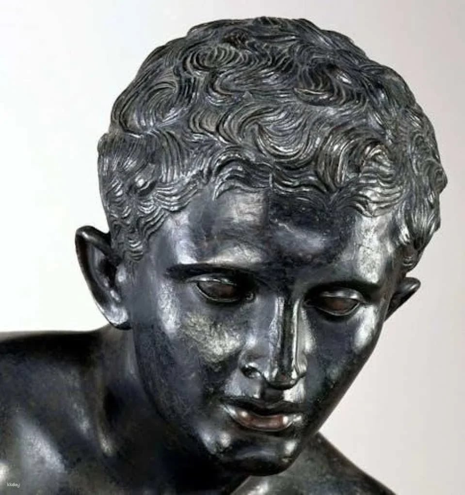 Vesuvius and Herculaneum transfer and entrance tickets from Pompeii