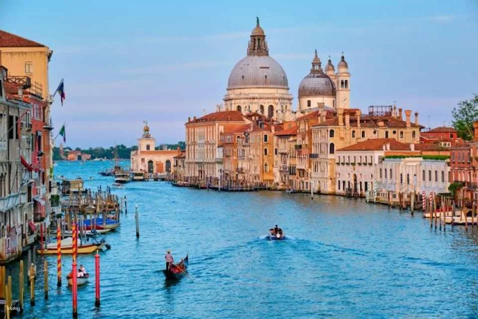 Venice ninety minute tour with a local