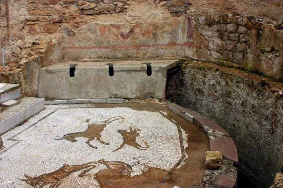 Skip-the-line guided tour of Villa Romana del Casale