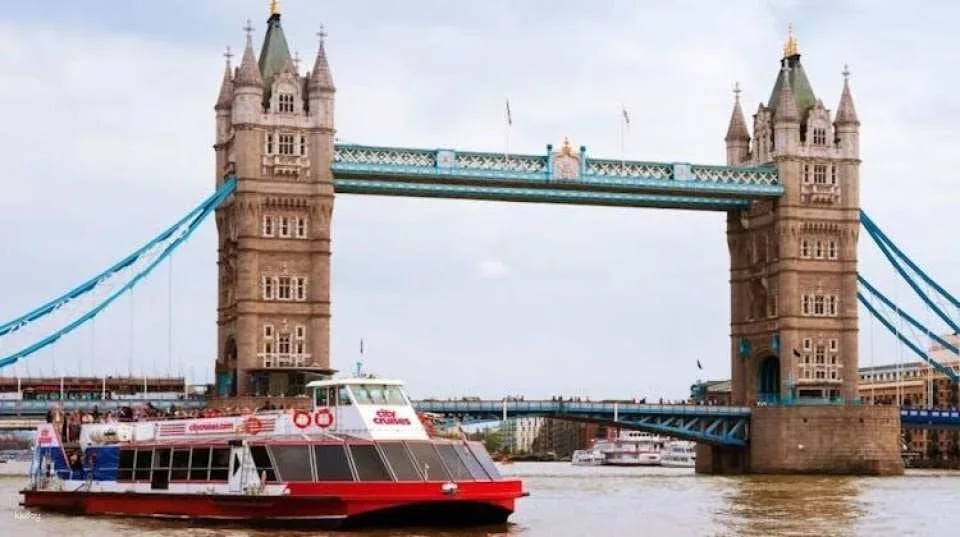Harry Potter Walking Guided Tour with Thames Cruise and London Eye