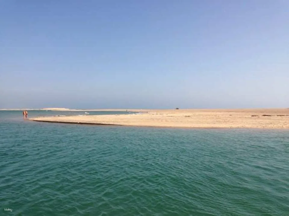 Ria Formosa speed boat tour from Faro