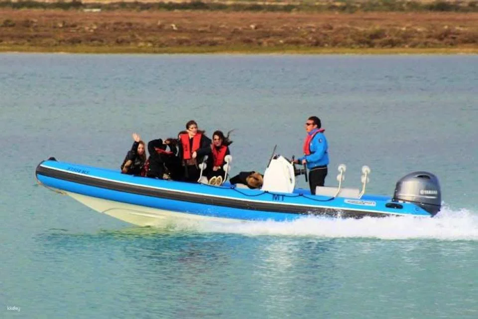 Ria Formosa speed boat tour from Faro