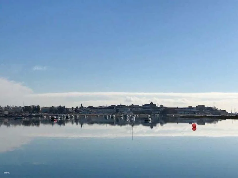 Ria Formosa speed boat tour from Faro