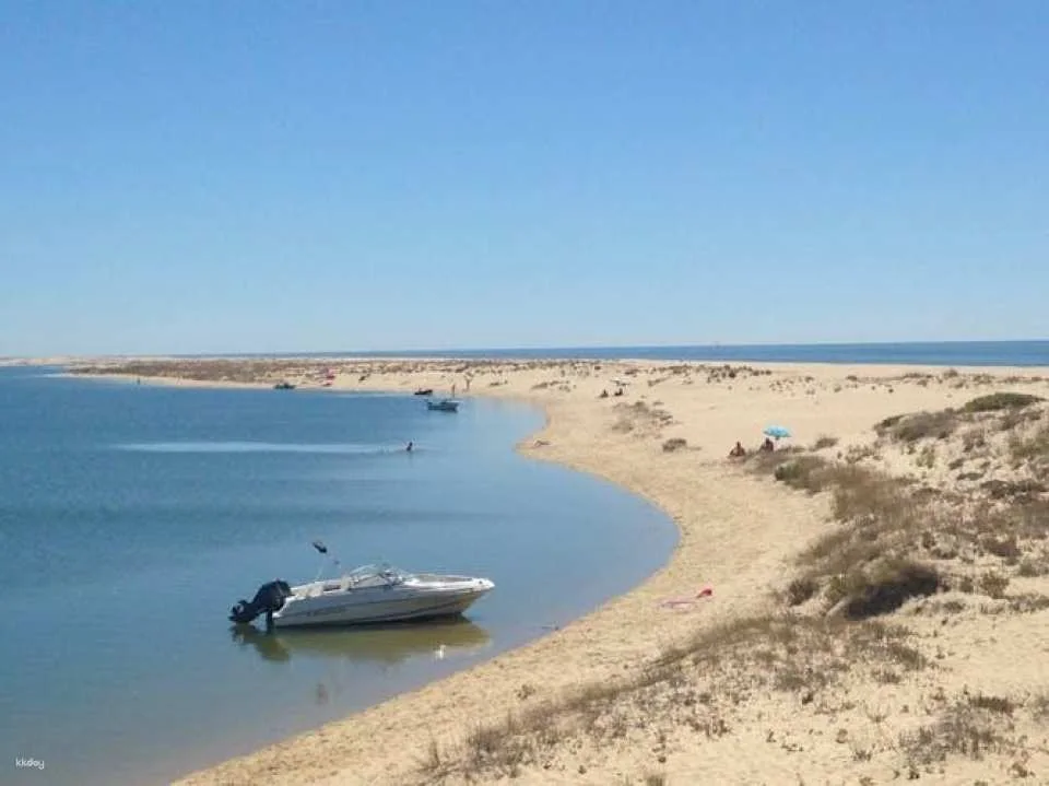 Ria Formosa speed boat tour from Faro
