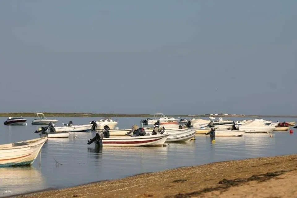 Ria Formosa speed boat tour from Faro