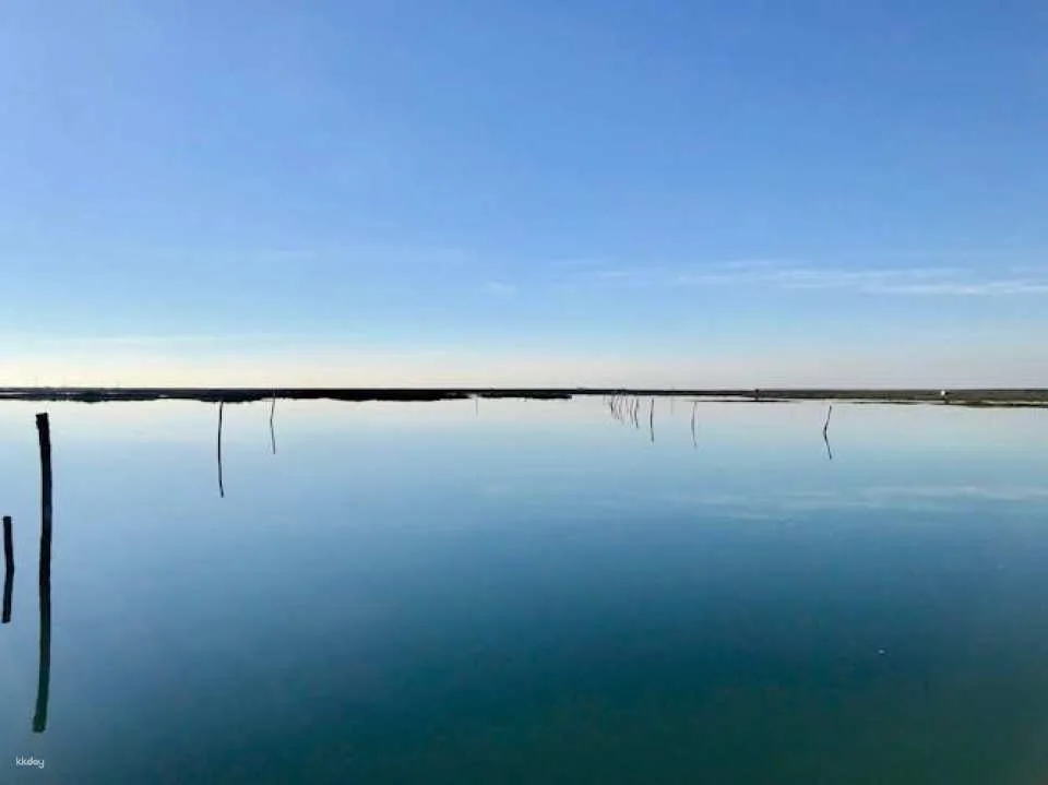 Ria Formosa speed boat tour from Faro