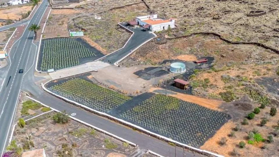 Exclusive El Cotillo-guest tour of Fuerteventura