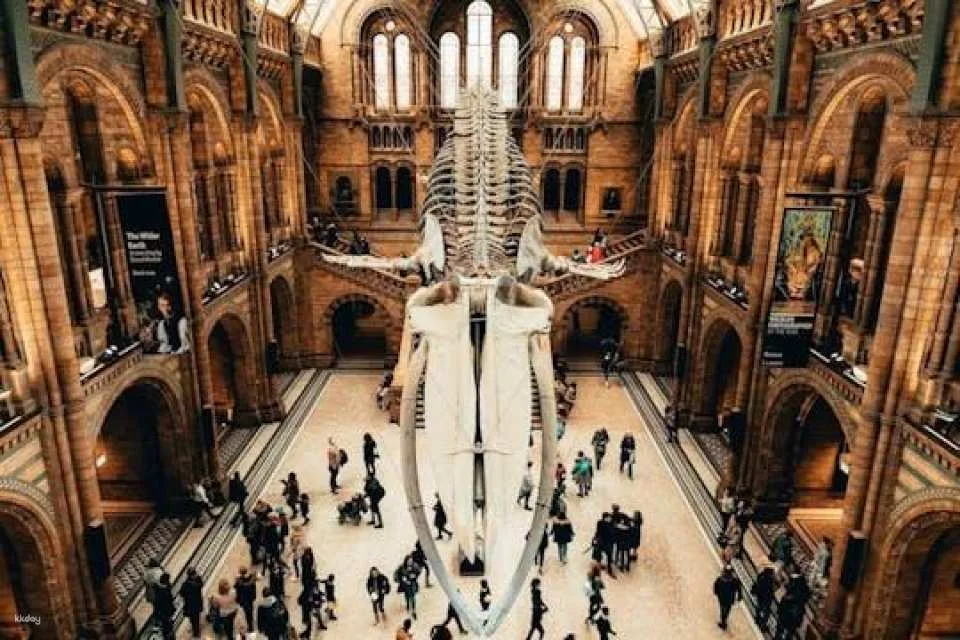 Natural History Museum Ticket and Self-Guided Audio Tour in German (607803)