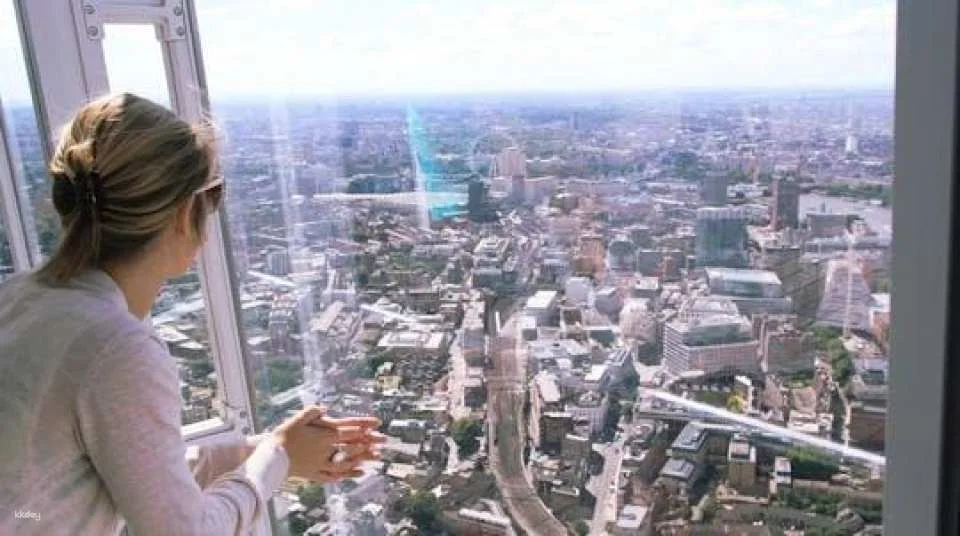 The Shard Viewing Gallery and Westminster Private Tour (607899)
