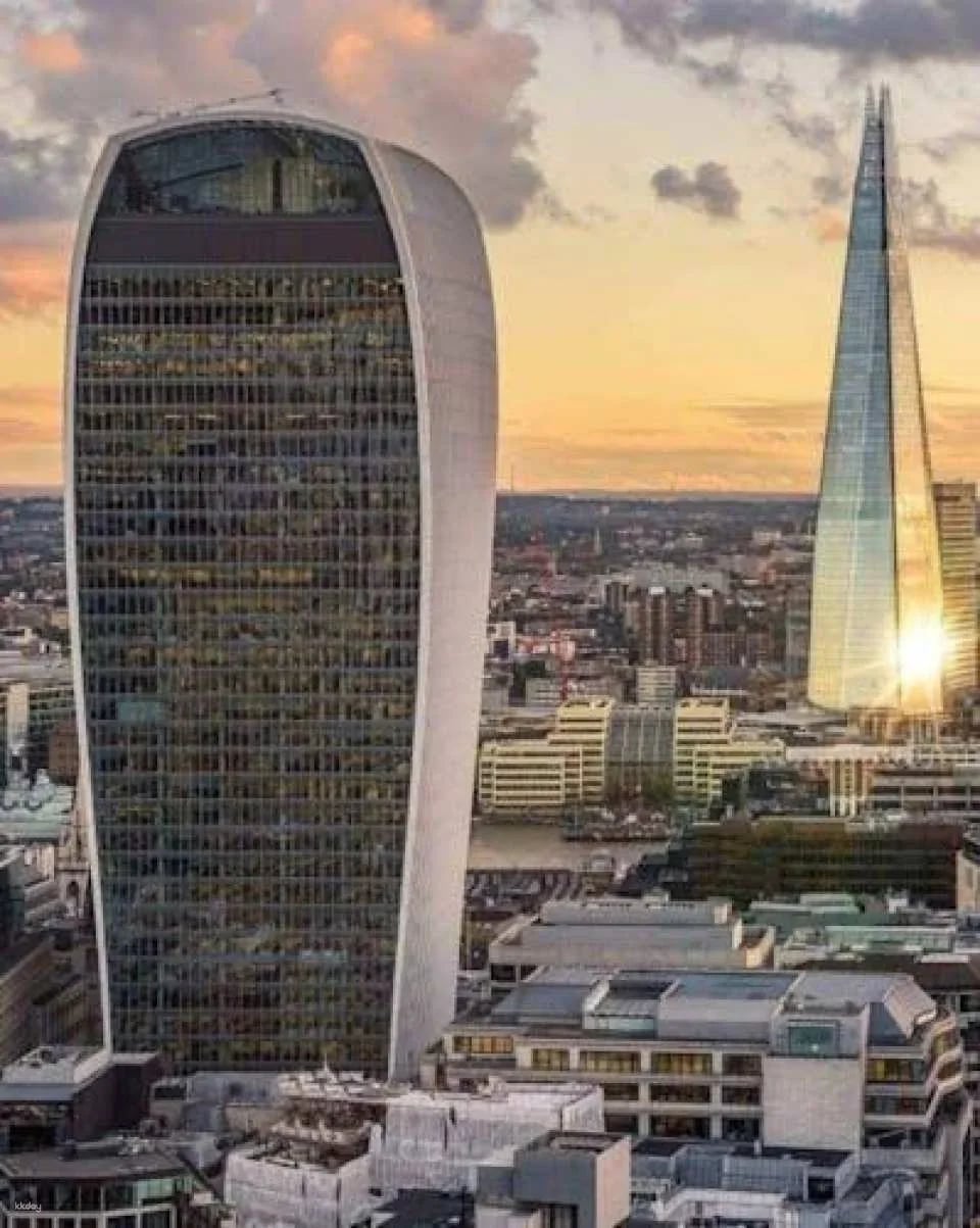 The Shard Viewing Gallery and Westminster Private Tour