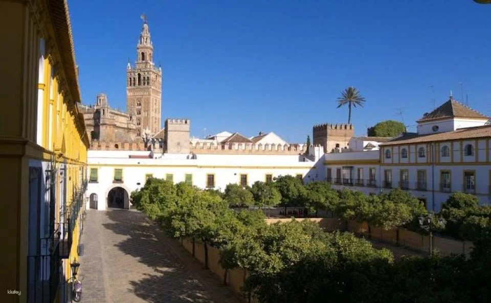 Royal Alcazar, Cathedral and Giralda small group tour