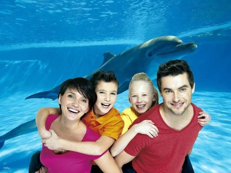 Marineland visit in Majorca with transfer