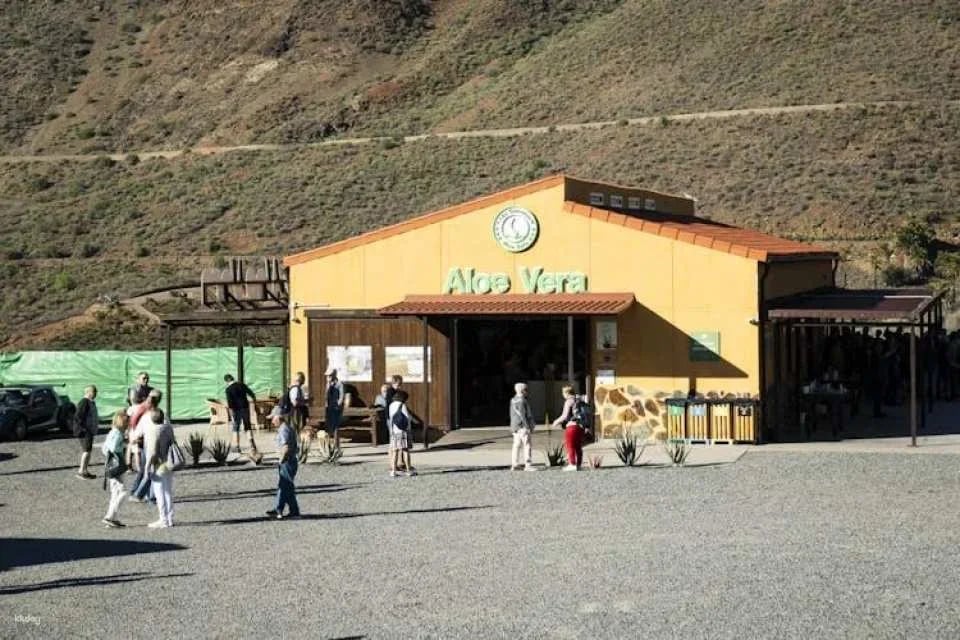 Full-day excursion to Fataga and Tejeda in Gran Canaria