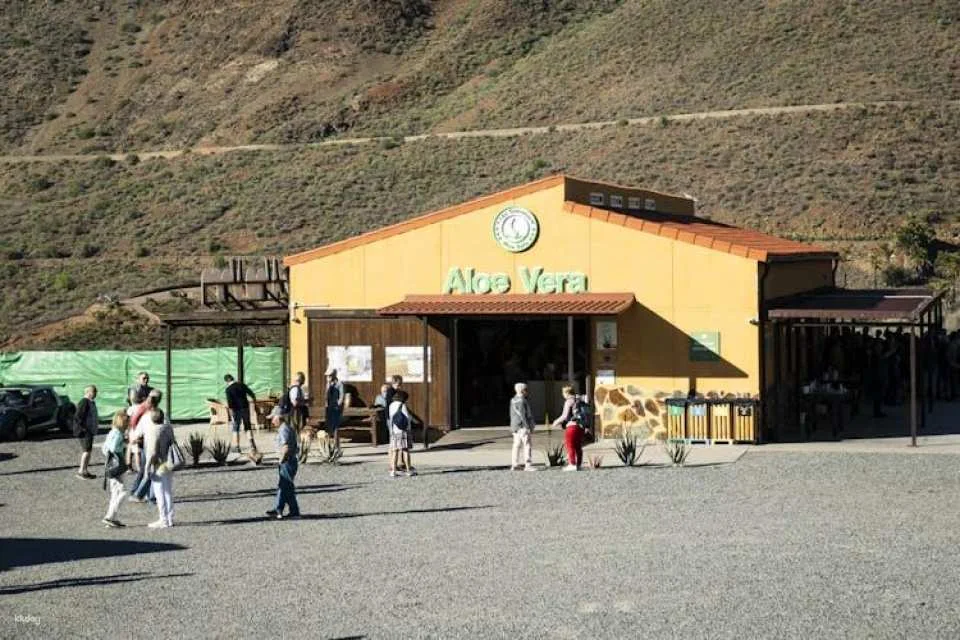 Full-day excursion to Fataga and Tejeda in Gran Canaria