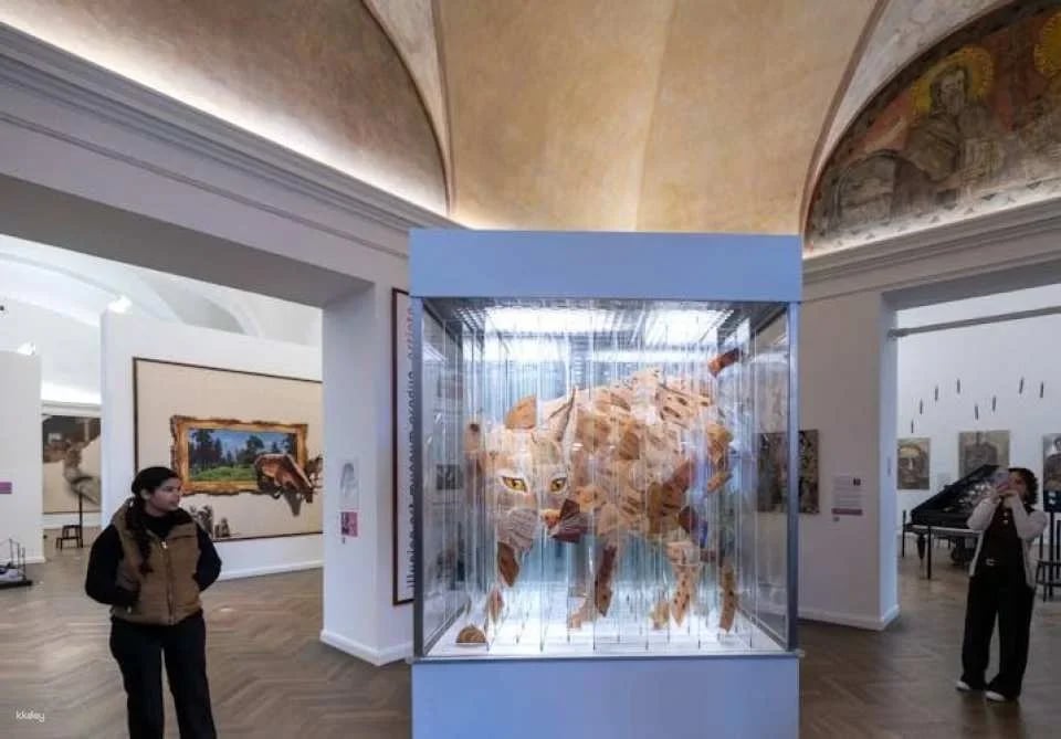 Entry ticket to Illusion Art Museum Prague