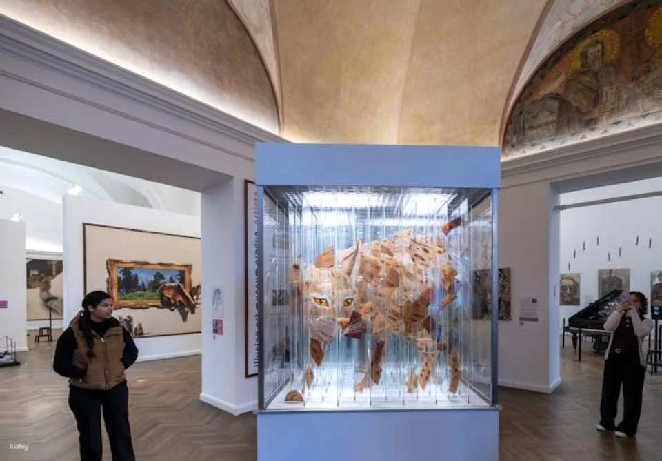 Entry ticket to Illusion Art Museum Prague