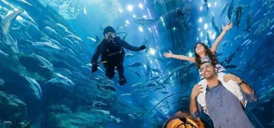 Dubai Aquarium and Underwater Zoo silver pass