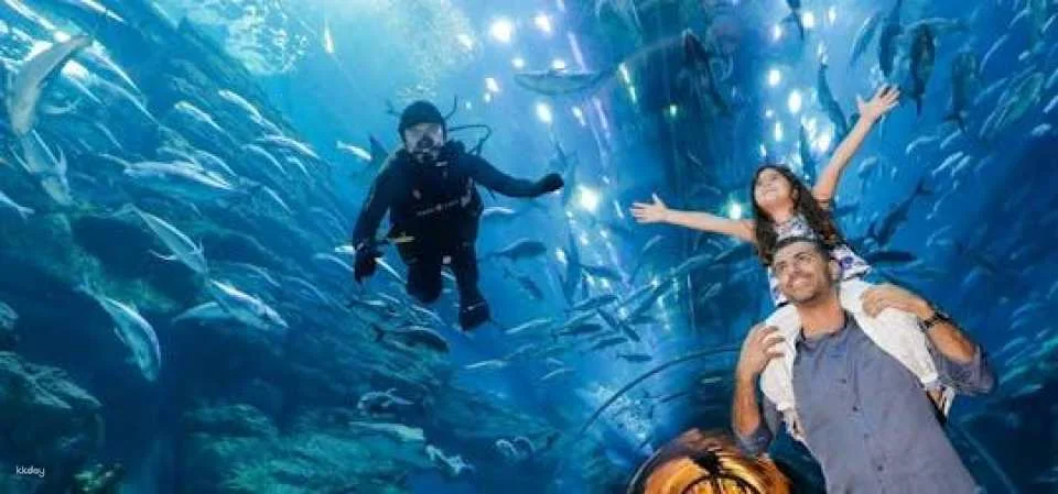 Dubai Aquarium and Underwater Zoo silver pass