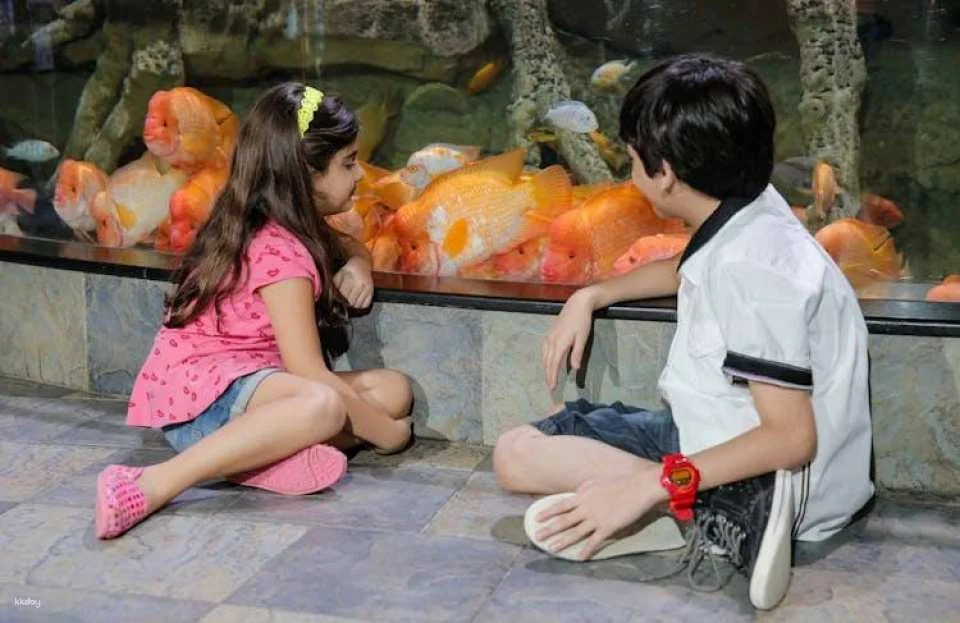 Dubai Aquarium and Underwater Zoo silver pass