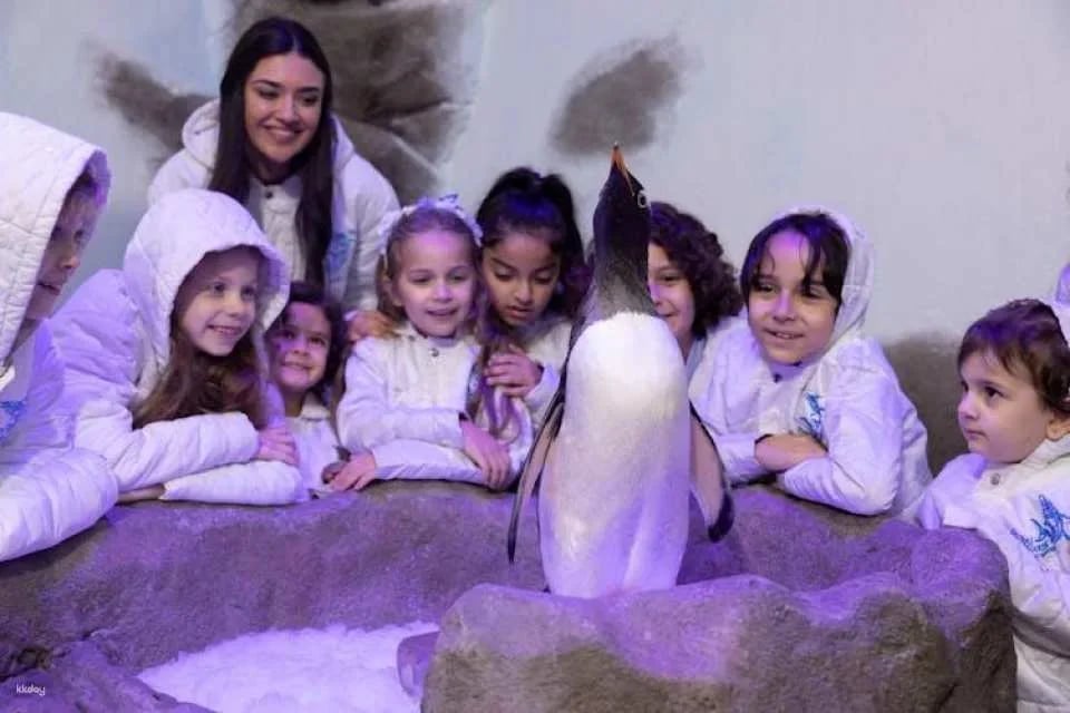 Dubai Aquarium and Underwater Zoo silver pass