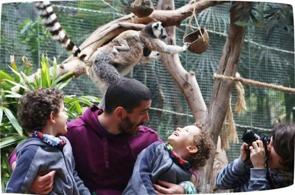 Oasis Wildlife Fuerteventura entrance with lemur experience